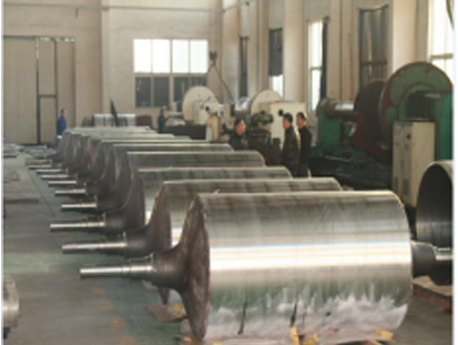 Furnace Roller